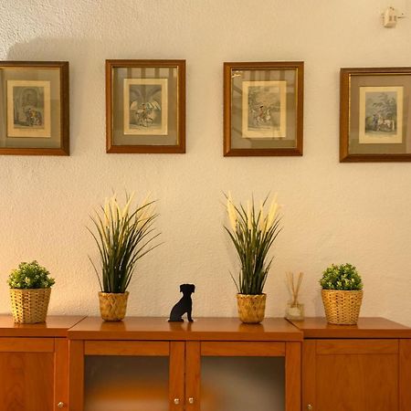 Apartamento Siglo De Oro セビリア エクステリア 写真